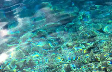 Mare`s Private House 1st floor with Pool - Foto 5