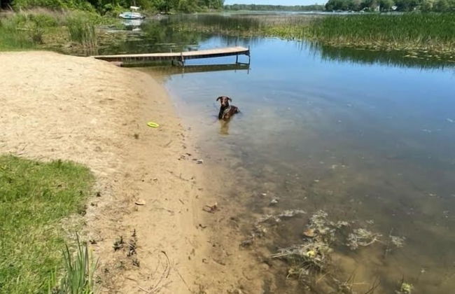 Amazing Lakefront Retreat On Long Lake! 2 Bedroom Home by RedAwning - Foto 35