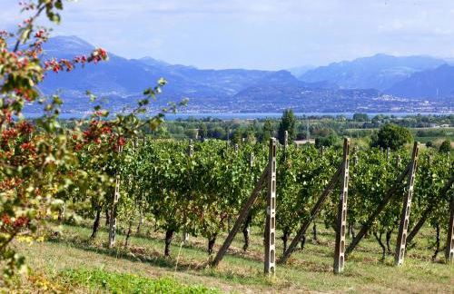 COBUE "Wine resort & Spa" - Foto 53