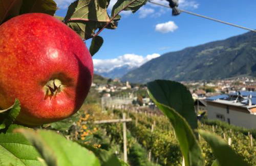 Haus Talblick "Envy" Ferienwohnung - Foto 12