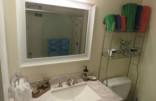 Florida Condos on Lake Tarpon - Foto 41