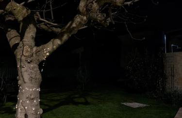 Villa Karigador, Umag- Karigador, Istria - Foto 75