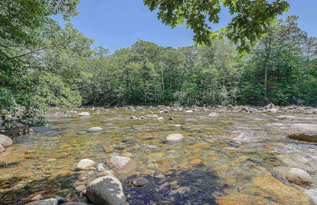 Loon Escape - Photo 51