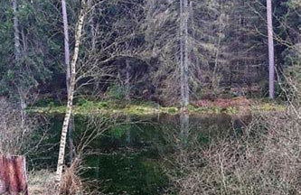 Wellness und Wander Oase Burgwald - Foto 9