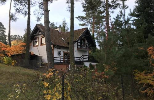 Biały Dom Pod Sosnami - Foto 1