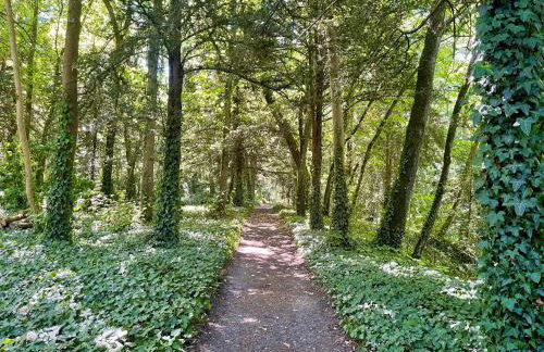 Relais des Hautes Roches - Foto 35