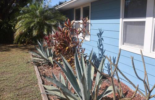 BLUE OASIS An inviting downtown Sarasota retreat - Foto 7