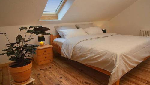 Ferienwohnung “Mount Meißner” - Foto 2