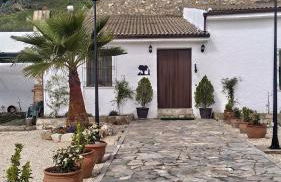 CASA CUEVA EL OLIVO - Foto 13