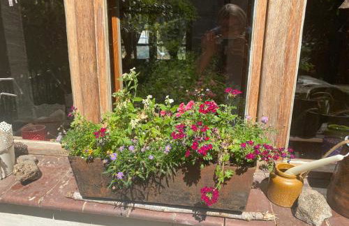 Walnußhof - Foto 50