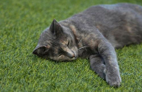 Villa with Ocean View - Foto 50