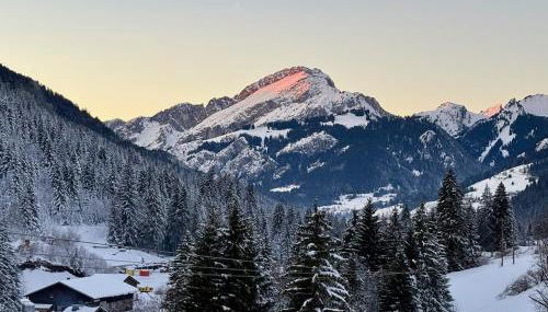 Appt Rénové et Moderne - 3 chambres - Châtel - Multi Pass - MÉNAGE INCLUS - Foto 5