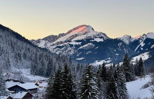 Appt Rénové et Moderne - 3 chambres - Châtel - Multi Pass - MÉNAGE INCLUS - Foto 5