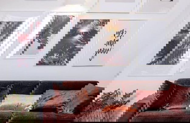 Corte Francigena - Foto 15