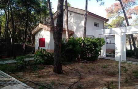 Villa immersa in pineta 100m dalla spiaggia - Foto 38