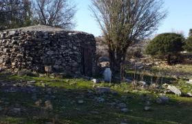 Chronis Family Villas - Foto 57