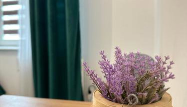 Apartament Zielony Kołłątaja - Foto 4