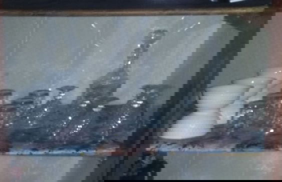 Ferme Andalousse - Foto 6