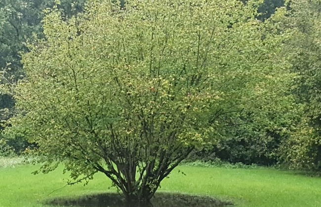 Villa Garden Cloud 7 - Foto 21