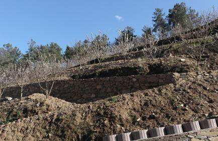 Casa da Quinta do Porto - Foto 20