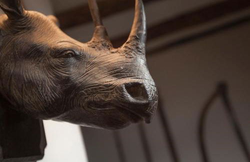 Three Little Pigs Luxury Cottage - Photo 49