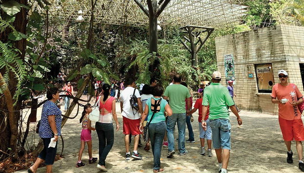 Sumidero Canyon & Cristo de Chiapas Viewpoints + Zoomat Tour - Foto 2