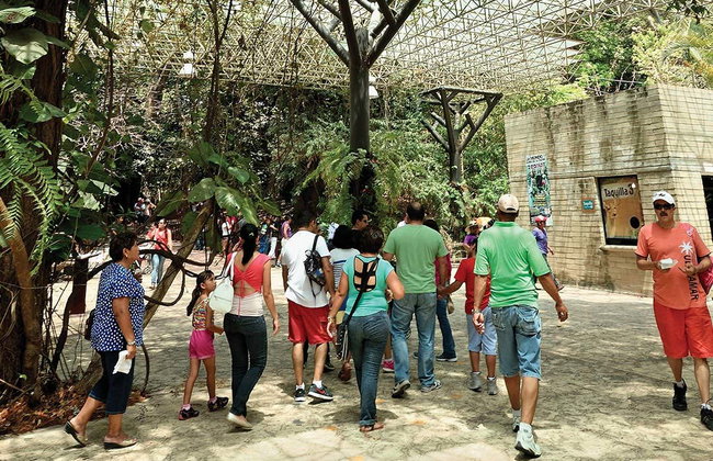 Miradores del Cañón del Sumidero, Zoomat y Cristo de Chiapas - Foto 2