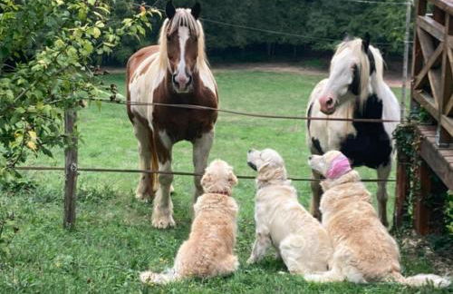 Le Mas dAmour - Foto 52