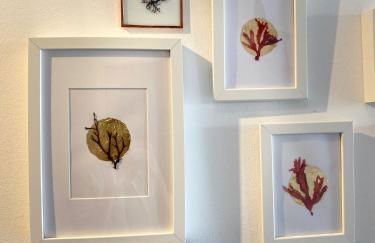 Ocean House Relax, Nature & Fun - Foto 42