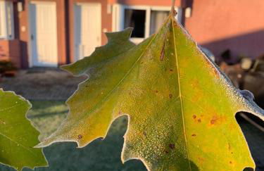 Sua Casa em Canela - Foto 58