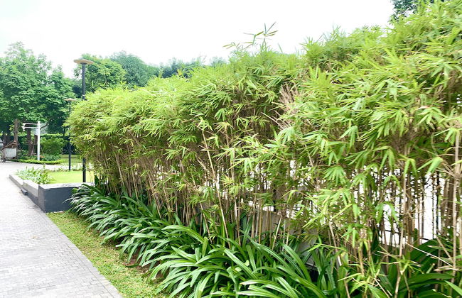 HKG-Vinhomes Green Bay Luxury-Private - Foto 40