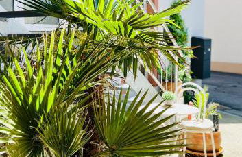 Ferienwohnung Luna -3 Schlafzimmer, Waschmaschine, Küche, WLAN, ca 15 Min bis zum Europa Park, - Foto 37