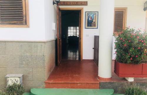 Los Viejitos en Firgas - Foto 5