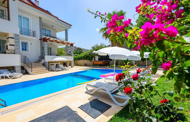 Anatolian Apartments - Photo 29