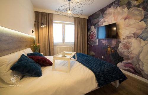 Apartamenty "Kwiaty Nocy" i "W Krainie Mchu" - Wisła - Foto 10