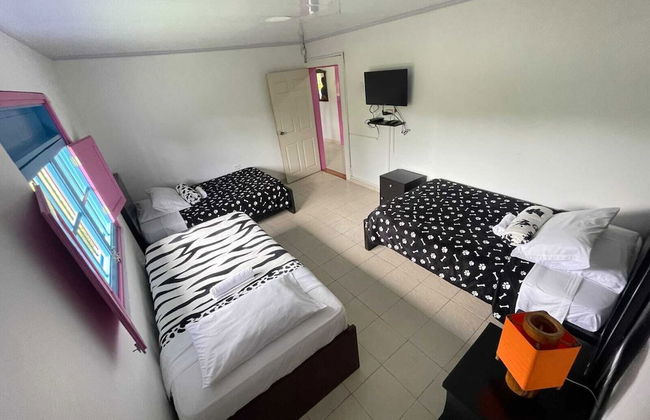 finca el arrullo - Photo 5