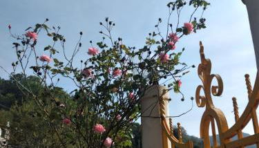 CasarinoLaurino Among Cinque Terre Genova And Portofino - Foto 3