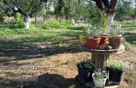 Mina Apartments - Foto 41