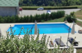 Timber Fairies - Foto 12