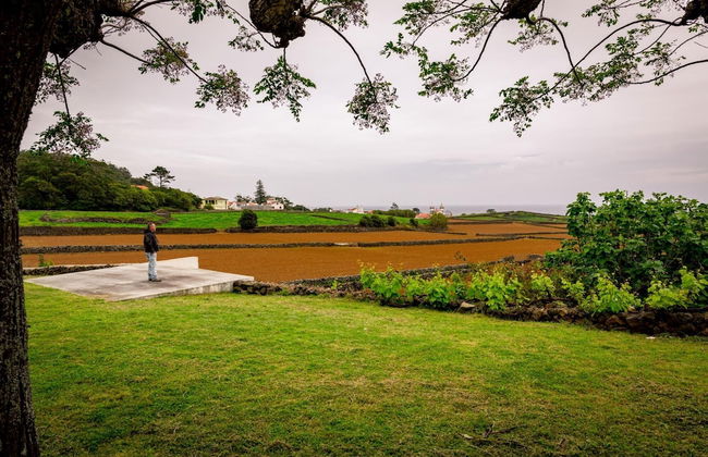 Casa dos Cal os in S o Mateus da Calheta - Photo 7