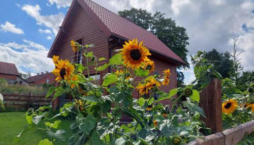 "Cztery Klony" - Foto 5