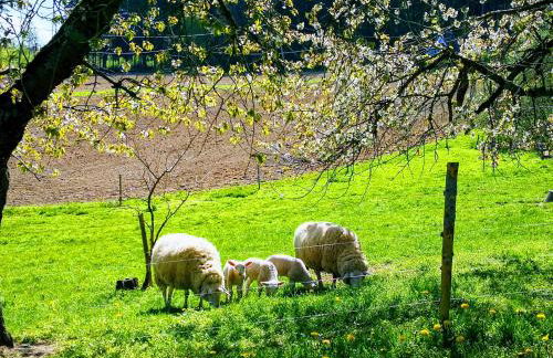 Pumphuts Scheune Ferienwohnungen Nr 1 - 4 beim Freizeitpark Plohn - Foto 58