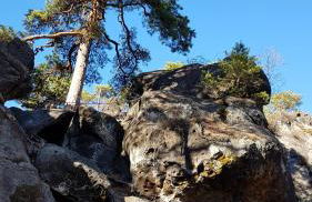 Ferienwohnung "am Zittauer Gebirge" - Foto 24