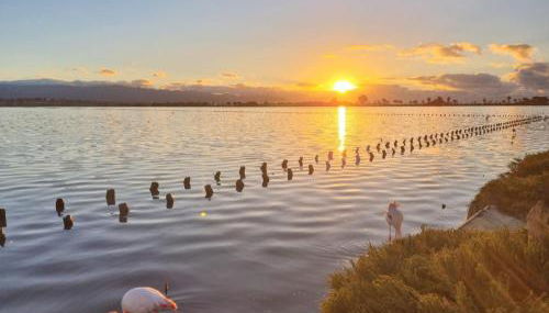Trilocale Margine Rosso - Foto 2