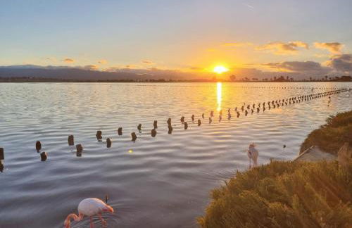 Trilocale Margine Rosso - Foto 2