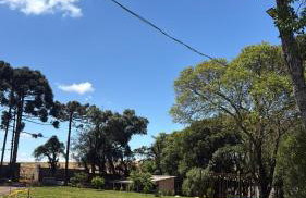 Chácara pontarolo - Foto 19