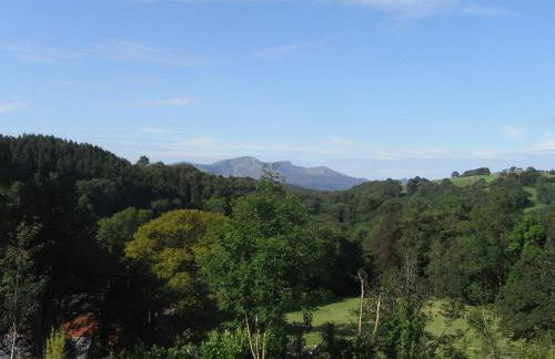 Y Bwythyn at Henfaes - Foto 13