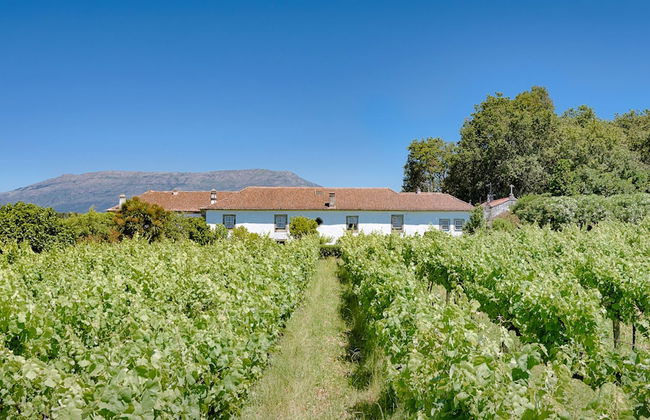 Paço de Lanheses - Photo 15