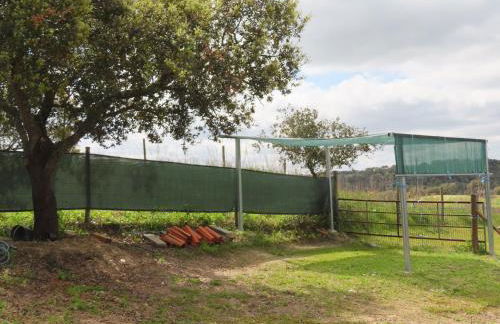 MONTE DO SALTO DA RAPOSA - Foto 49