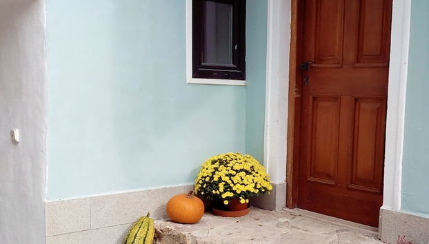 Mostrador de check-in y check-out